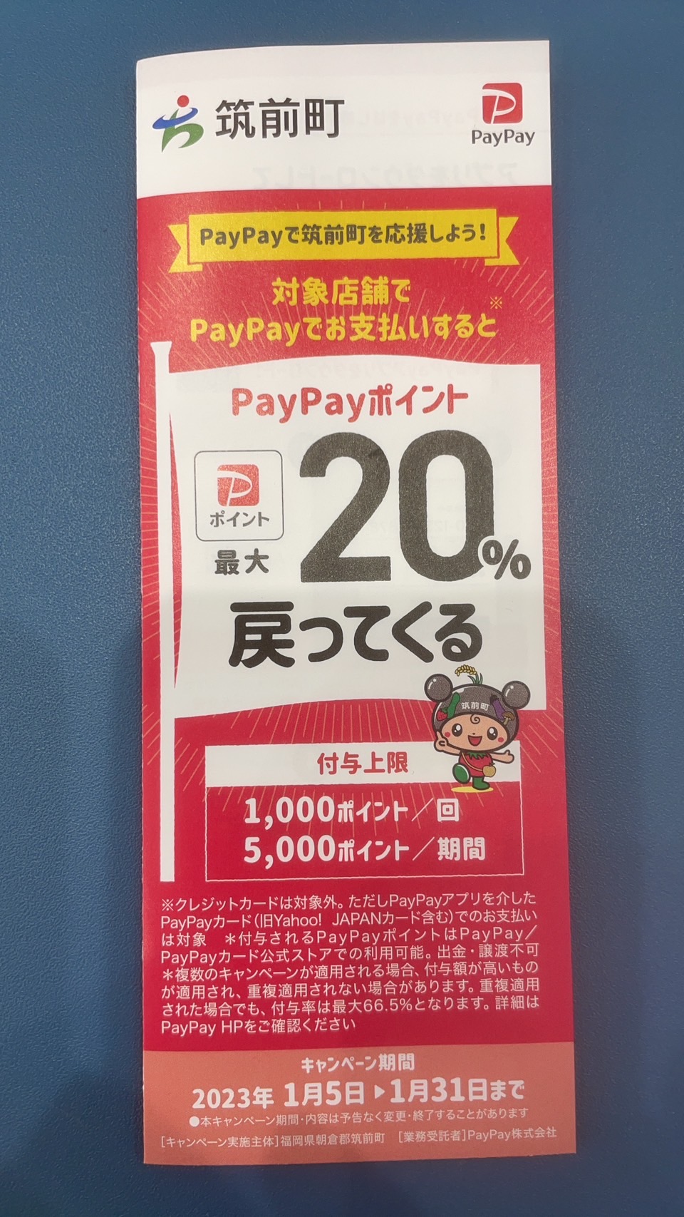 pay pay20%キャッシュバック